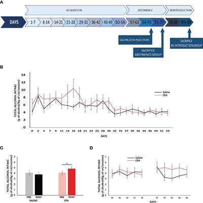 Neuroimmune and Mu-Opioid Receptor Alterations in the Mesocorticolimbic System in a Sex-Dependent Inflammatory Pain-Induced Alcohol Relapse-Like Rat Model